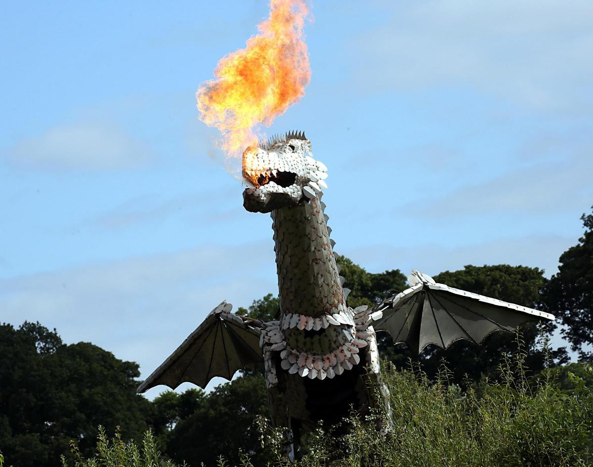 FPE Seals fix wings for dragon